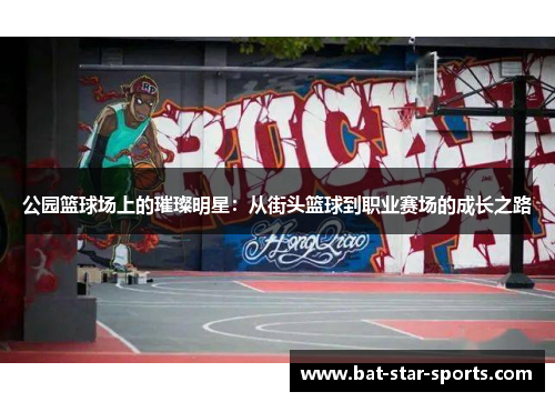 公园篮球场上的璀璨明星：从街头篮球到职业赛场的成长之路